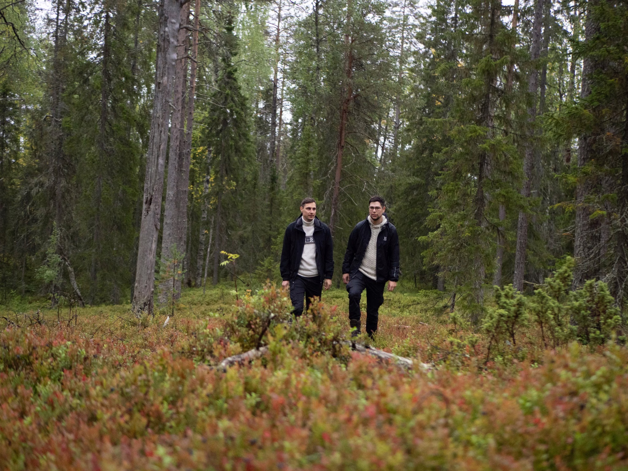 Kai-Matias ja Topias metsässä